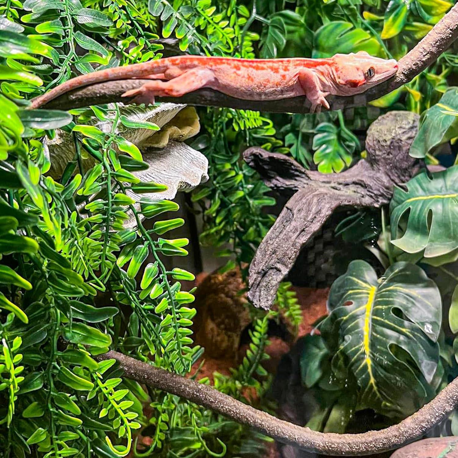 Accesorios para Reptiles HERCOCCI - Cabaña de Coco 37.8 cm