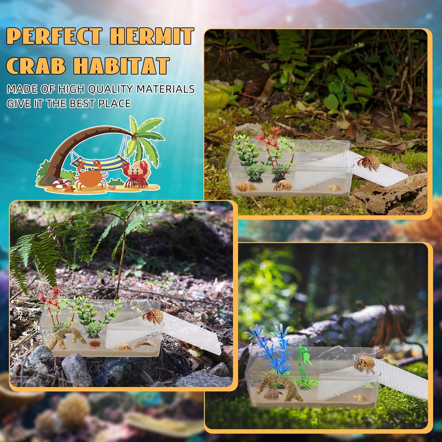 Kit de Acuario para Cangrejos Ermitaños Kathfly 13 Piezas