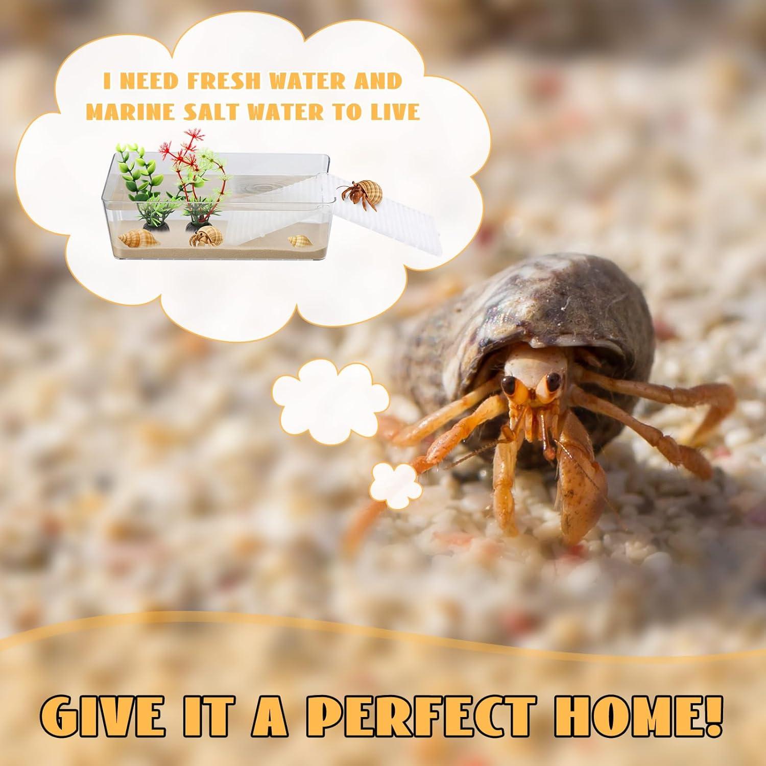 Kit de Acuario para Cangrejos Ermitaños Kathfly 13 Piezas