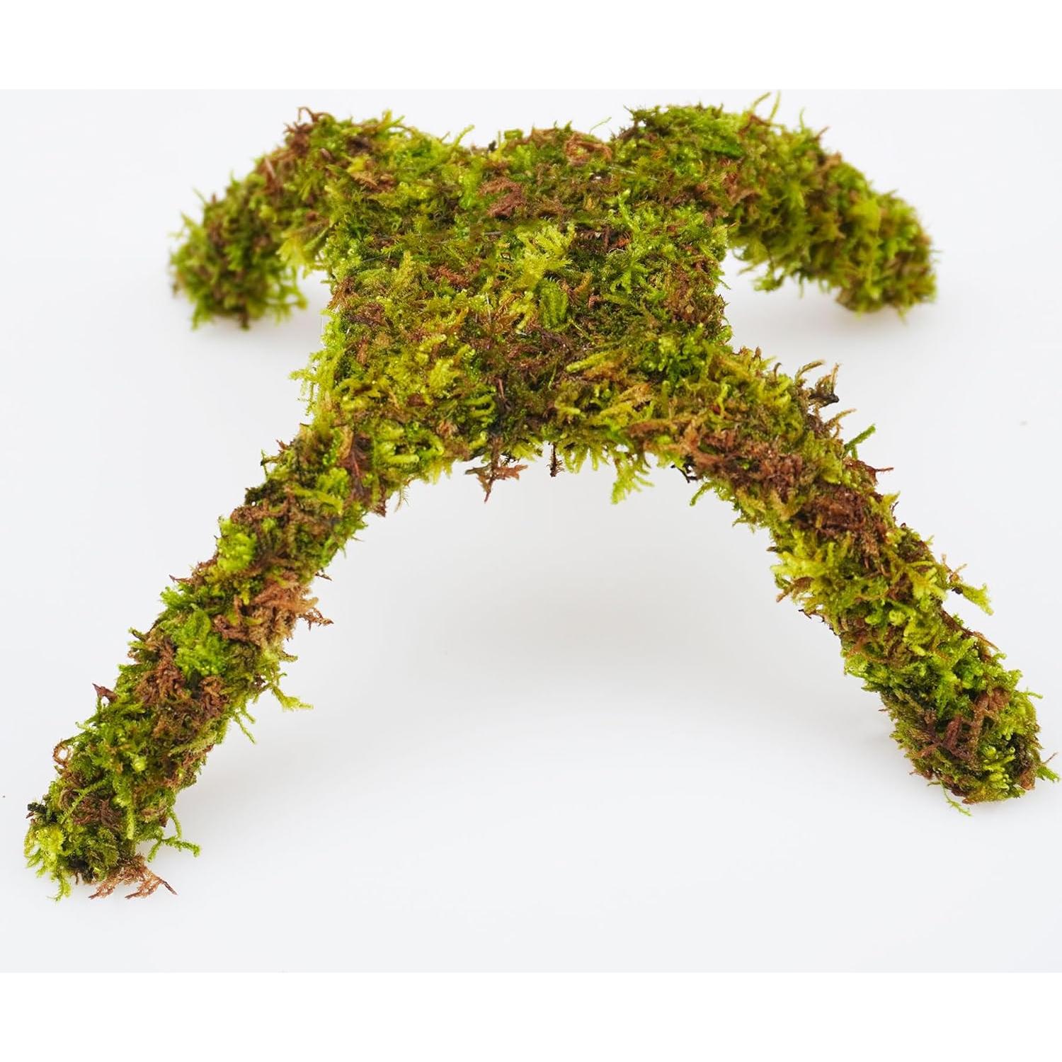 Plataforma de Escalada para Cangrejo Ermitaño Begeterday 15 cm