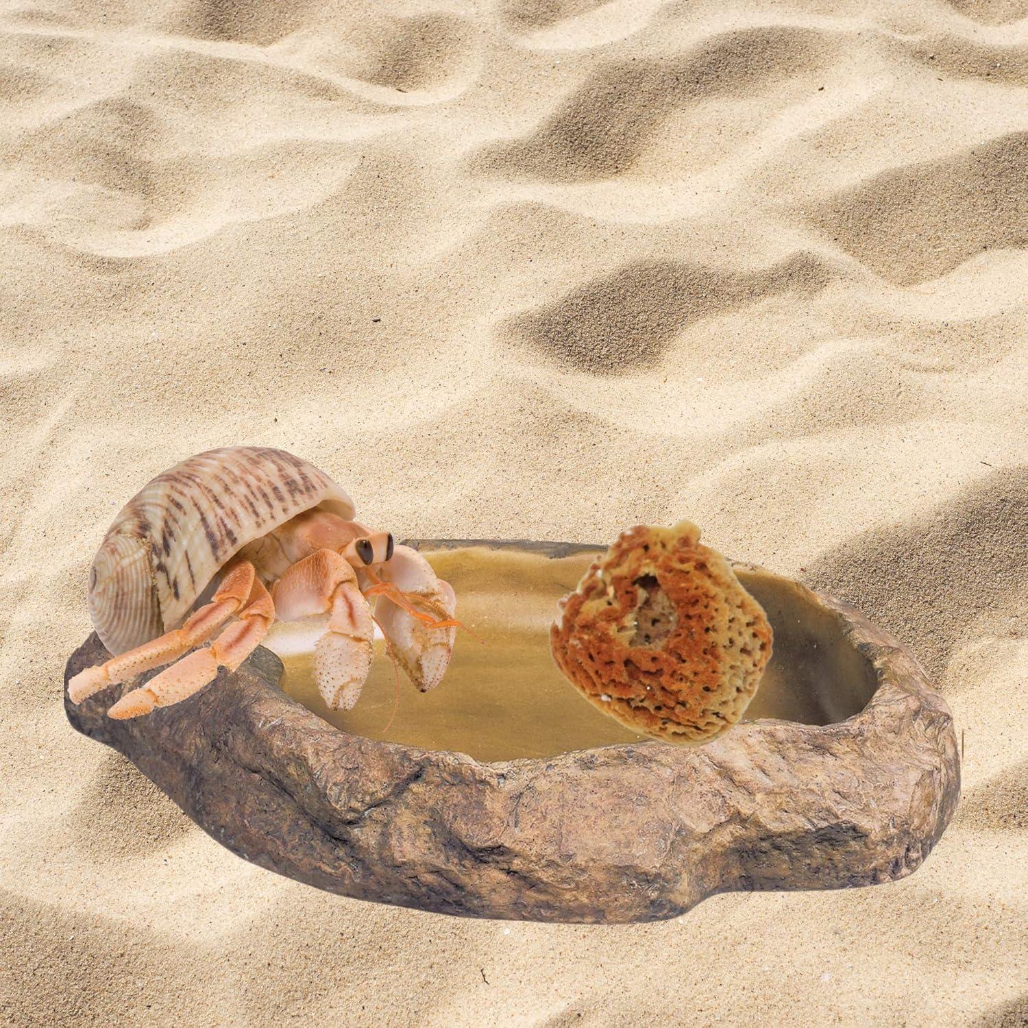 Esponjas Naturales para Cangrejo Ermitaño Needzo - Paquete de 5