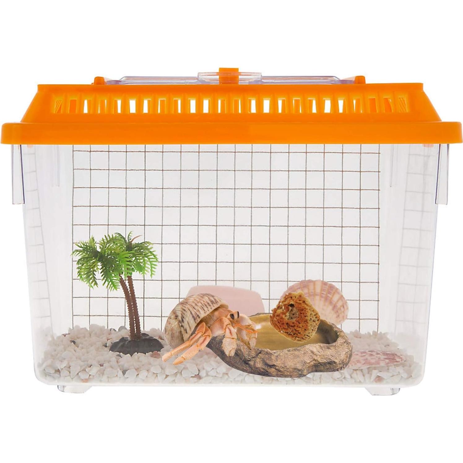 Esponjas Naturales para Cangrejo Ermitaño Needzo - Paquete de 5