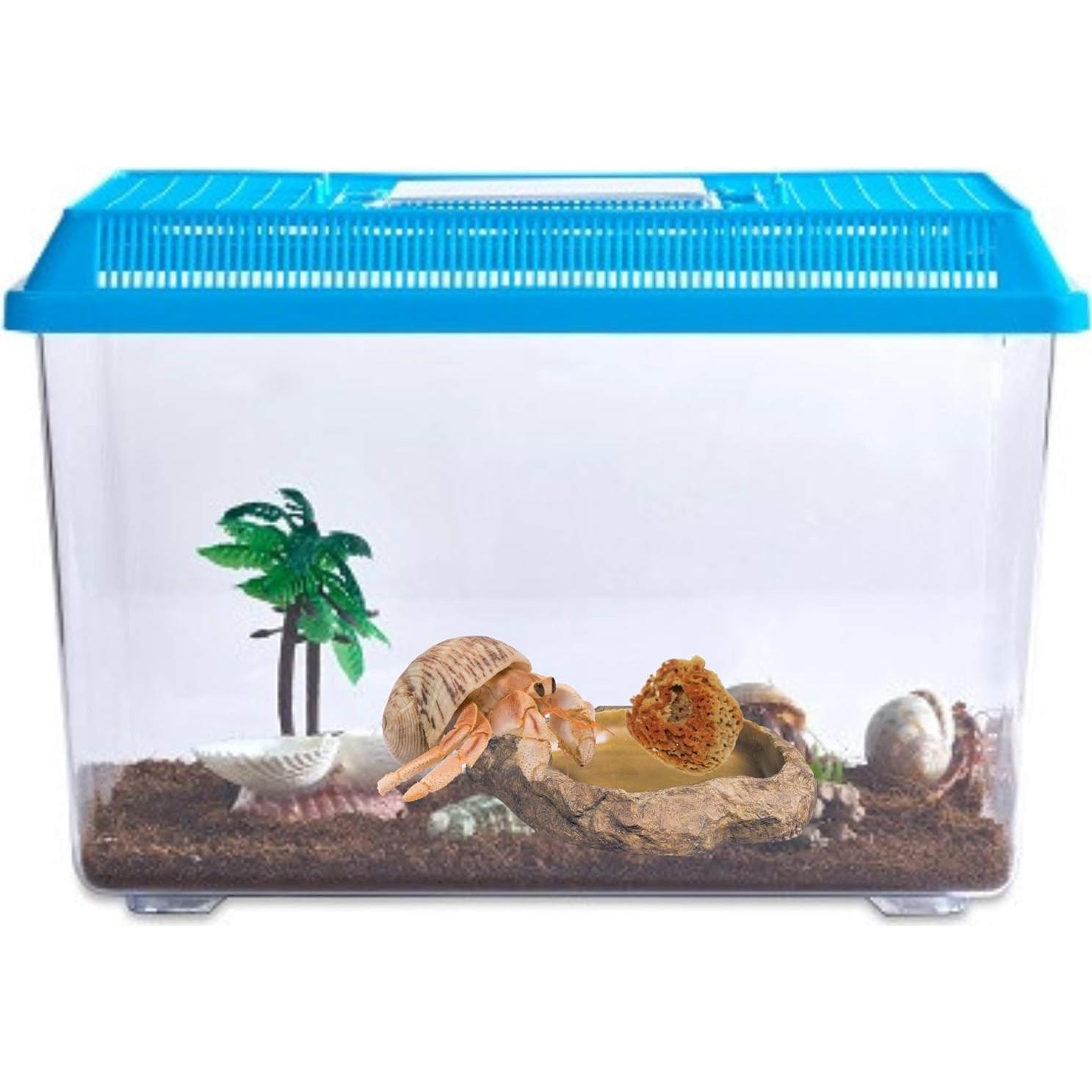 Esponjas Naturales para Cangrejo Ermitaño Needzo - Paquete de 5