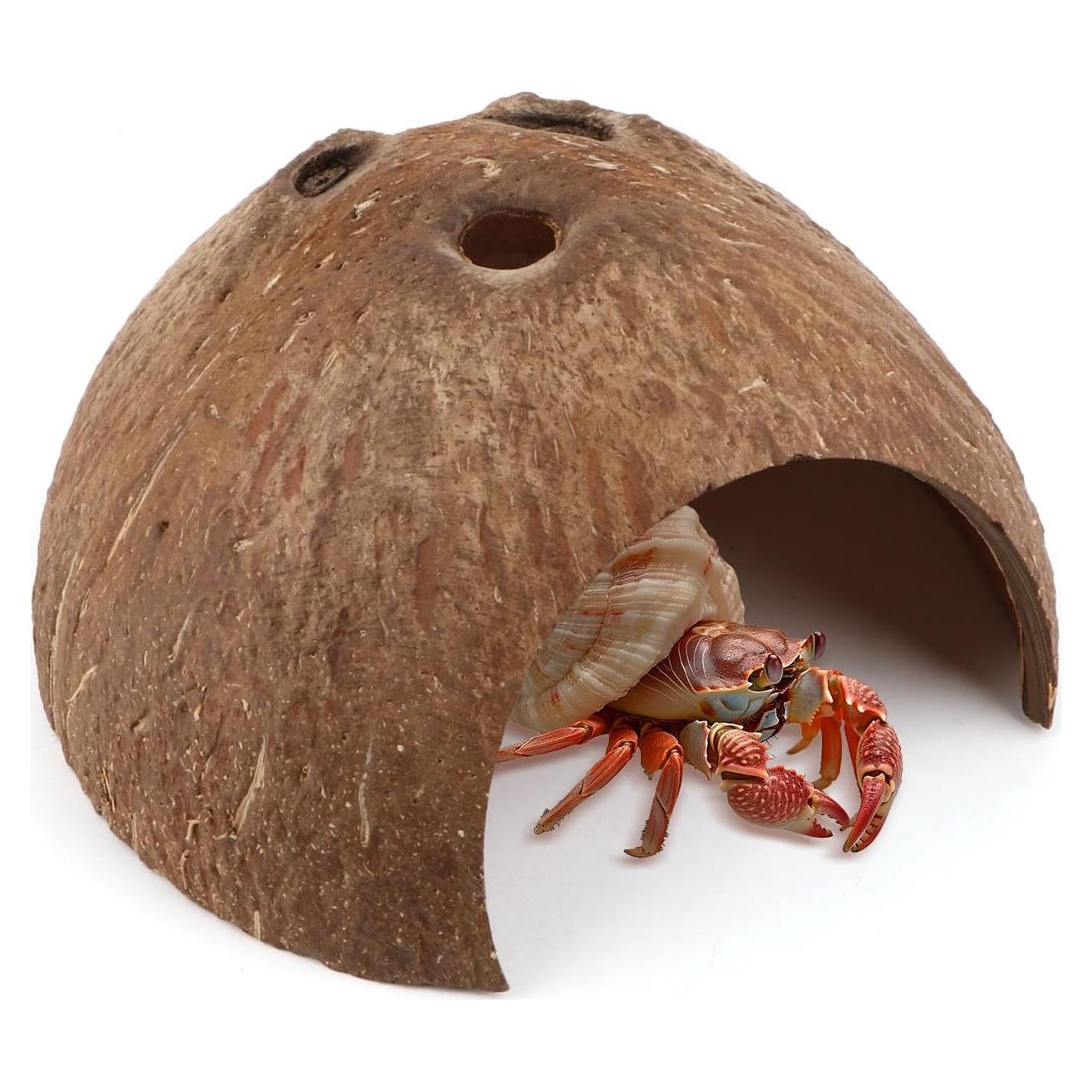 Escondite Natural de Coco Hypeety para Reptiles y Acuarios