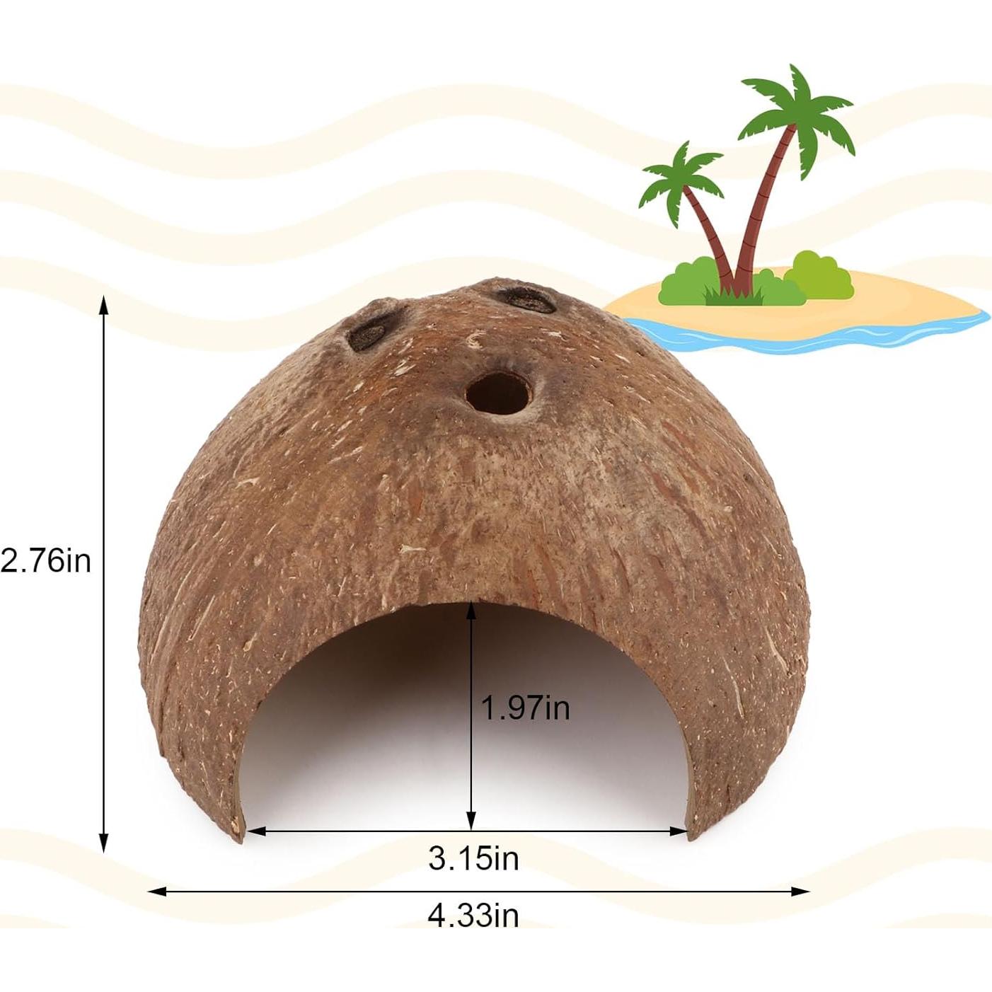Escondite Natural de Coco Hypeety para Reptiles y Acuarios