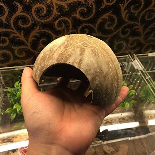 Escondite Natural de Coco Hypeety para Reptiles y Acuarios