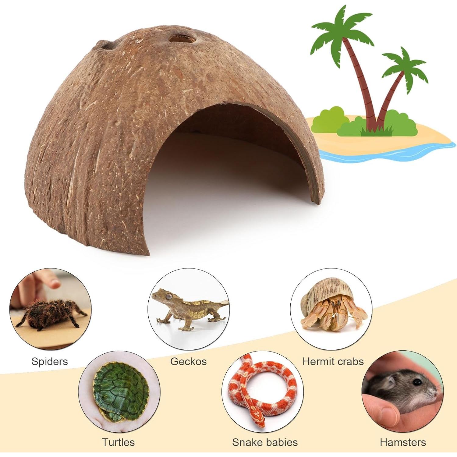 Escondite Natural de Coco Hypeety para Reptiles y Acuarios