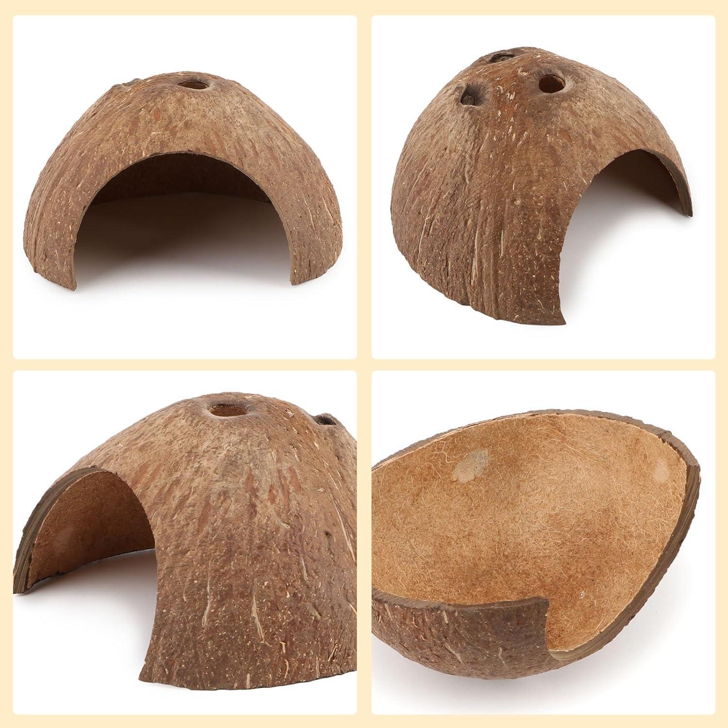 Escondite Natural de Coco Hypeety para Reptiles y Acuarios