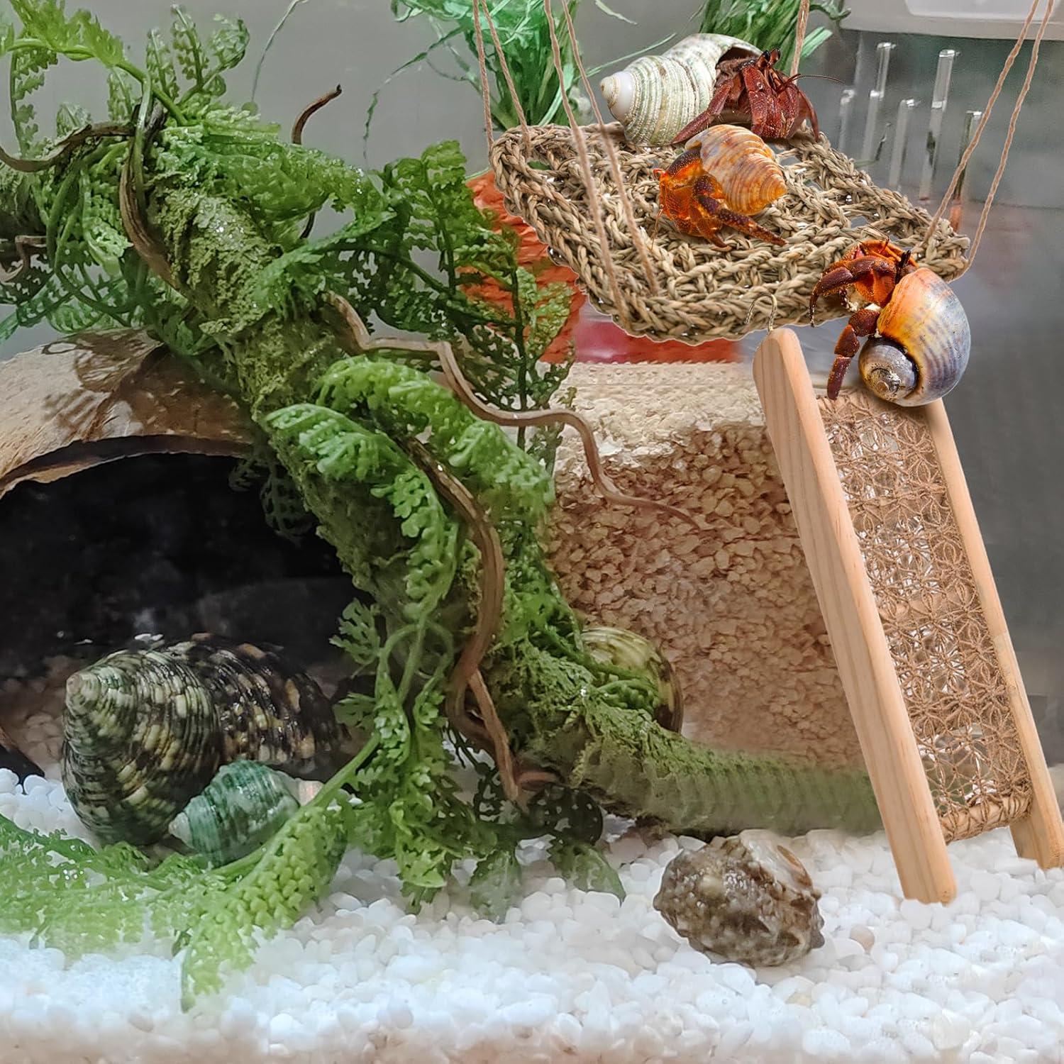 Juguetes para Cangrejos Ermitaños CHALEEMANG - Hamaca y Puente