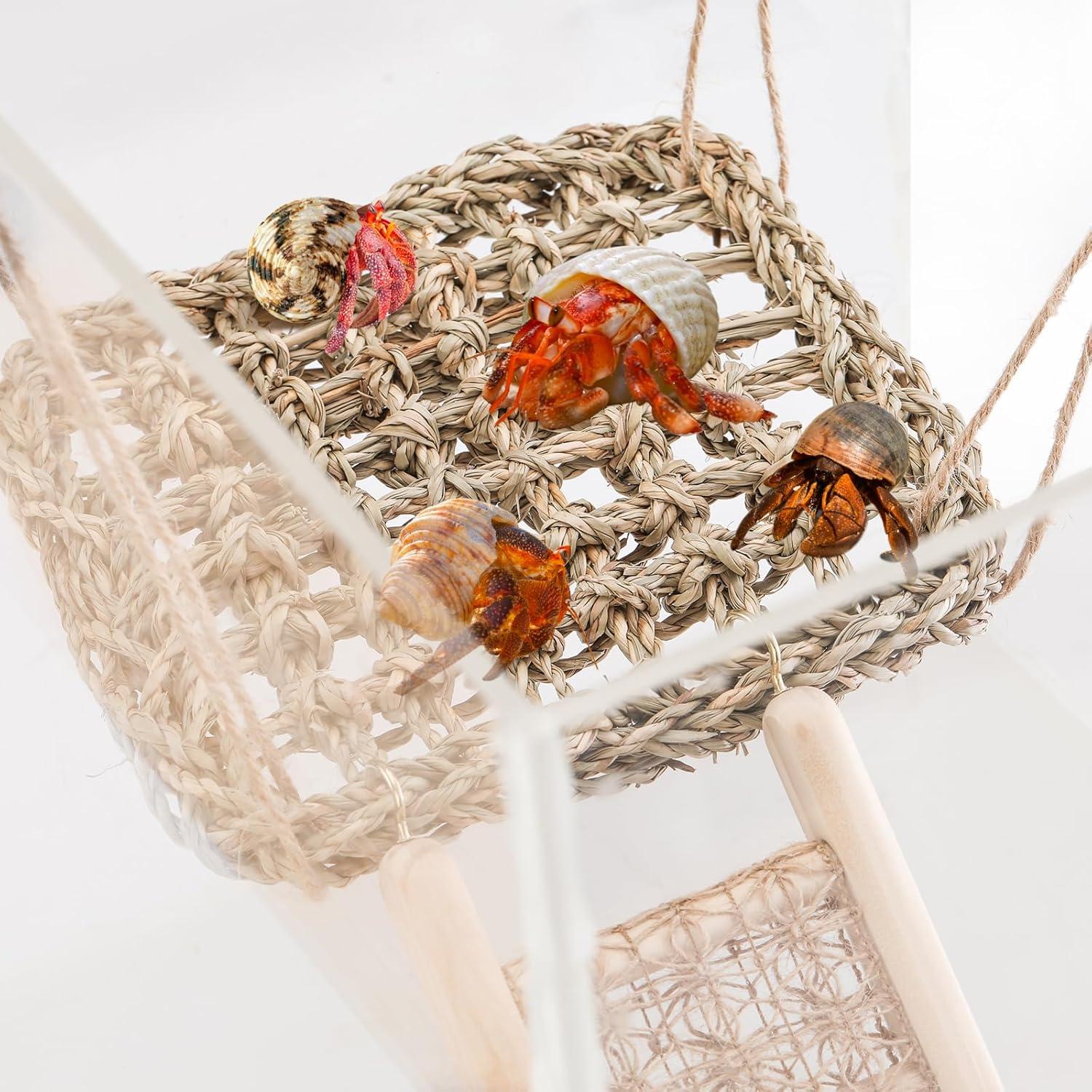 Juguetes para Cangrejos Ermitaños CHALEEMANG - Hamaca y Puente