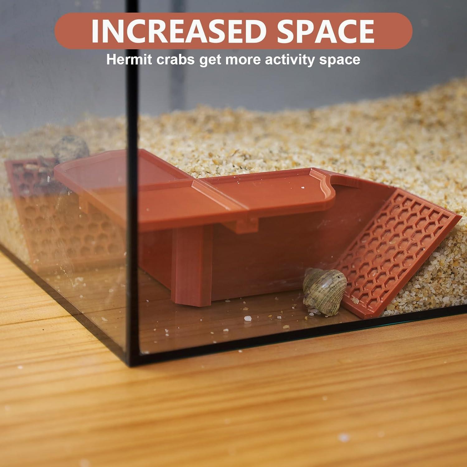 Escondite Subterráneo para Cangrejo Ermitaño Swirge 3 en 1