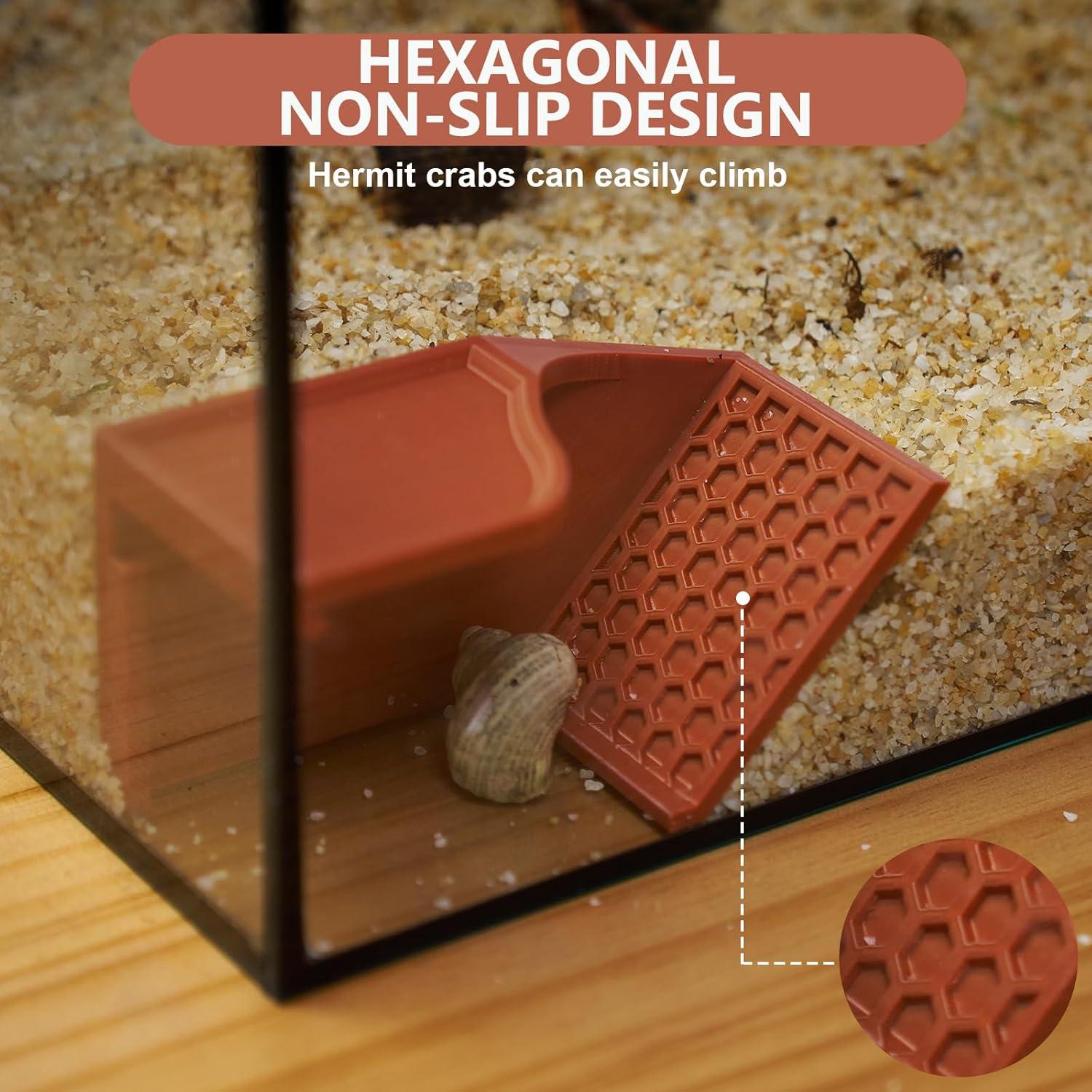 Escondite Subterráneo para Cangrejo Ermitaño Swirge 3 en 1