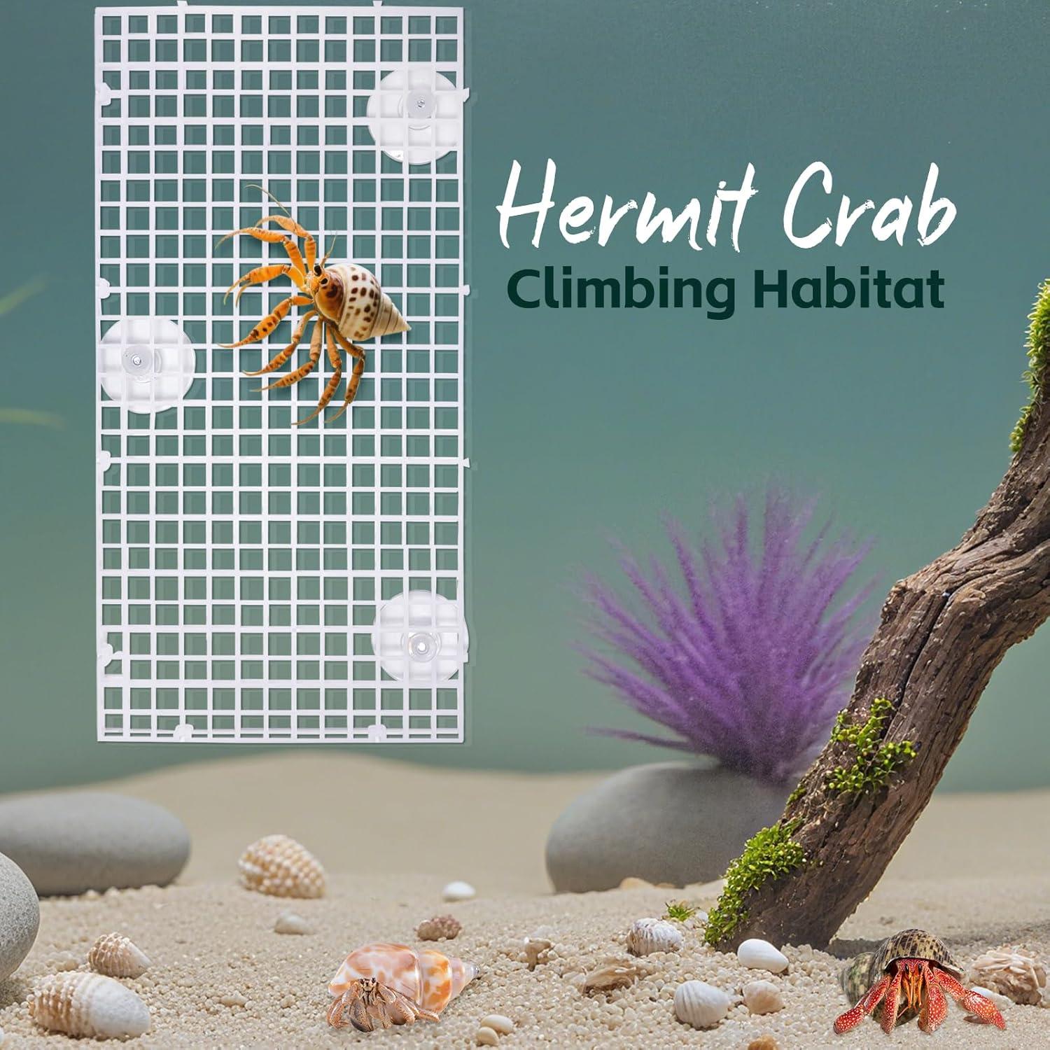 Juguete de Escalada Uotey para Cangrejo Ermitaño 21.6cm