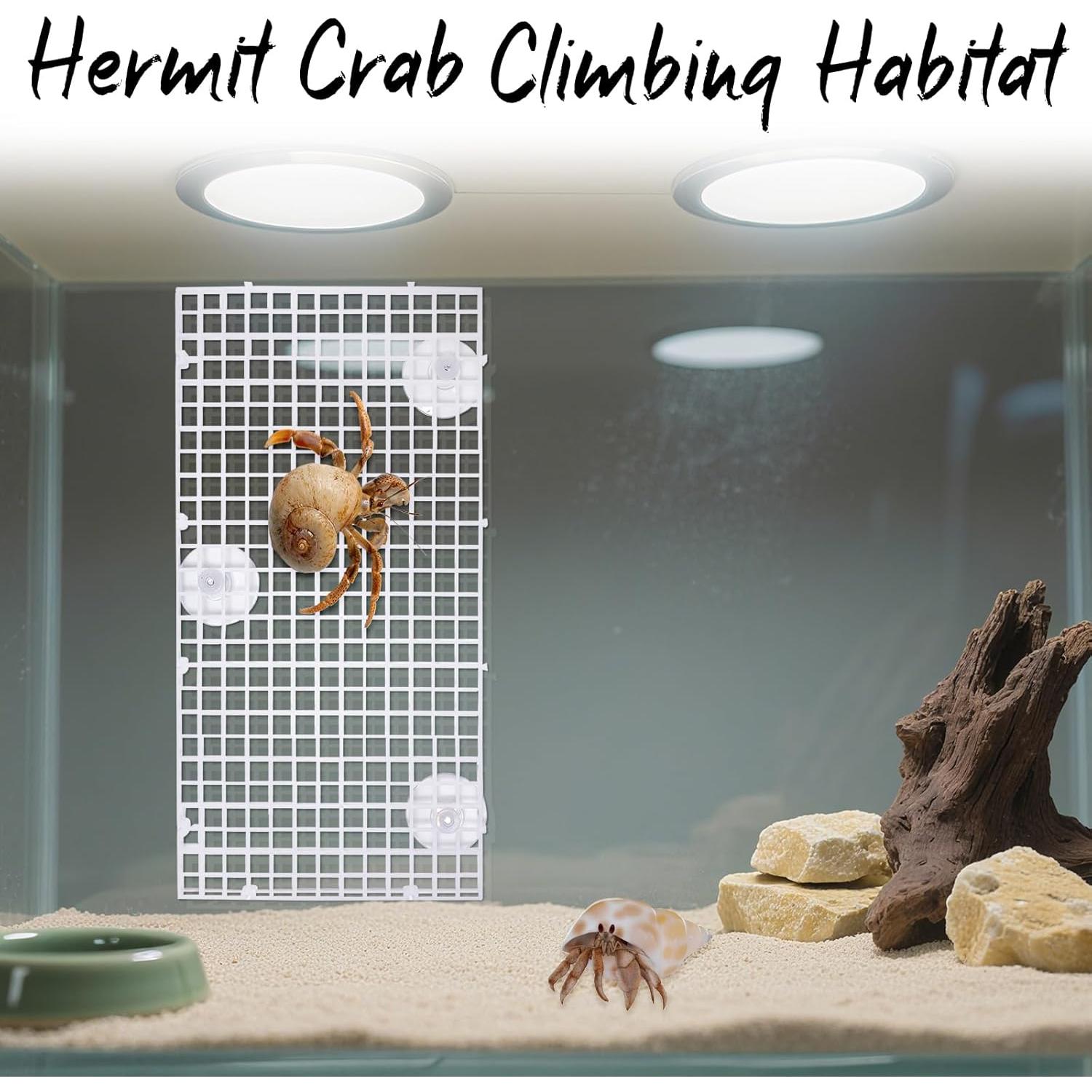 Juguete de Escalada Uotey para Cangrejo Ermitaño 21.6cm