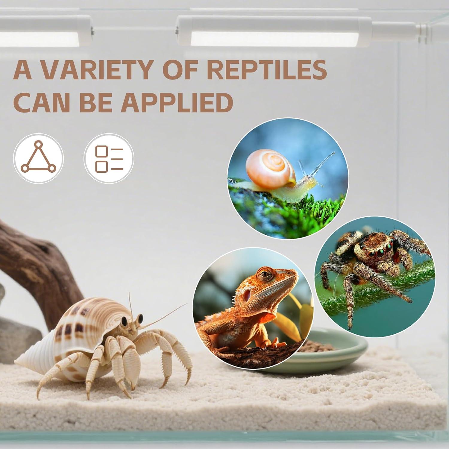 Juguete de Escalada Uotey para Cangrejo Ermitaño 21.6cm