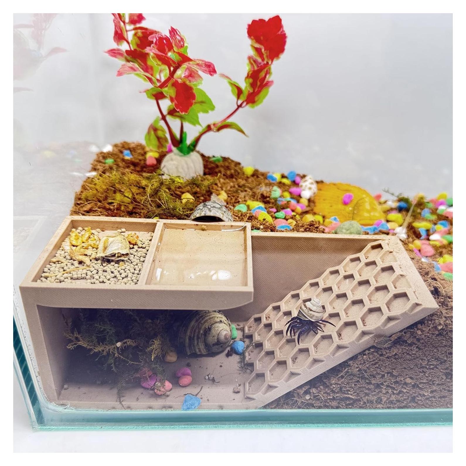 Escondite 3D para Cangrejos Ermitaños HOZOE - Madera