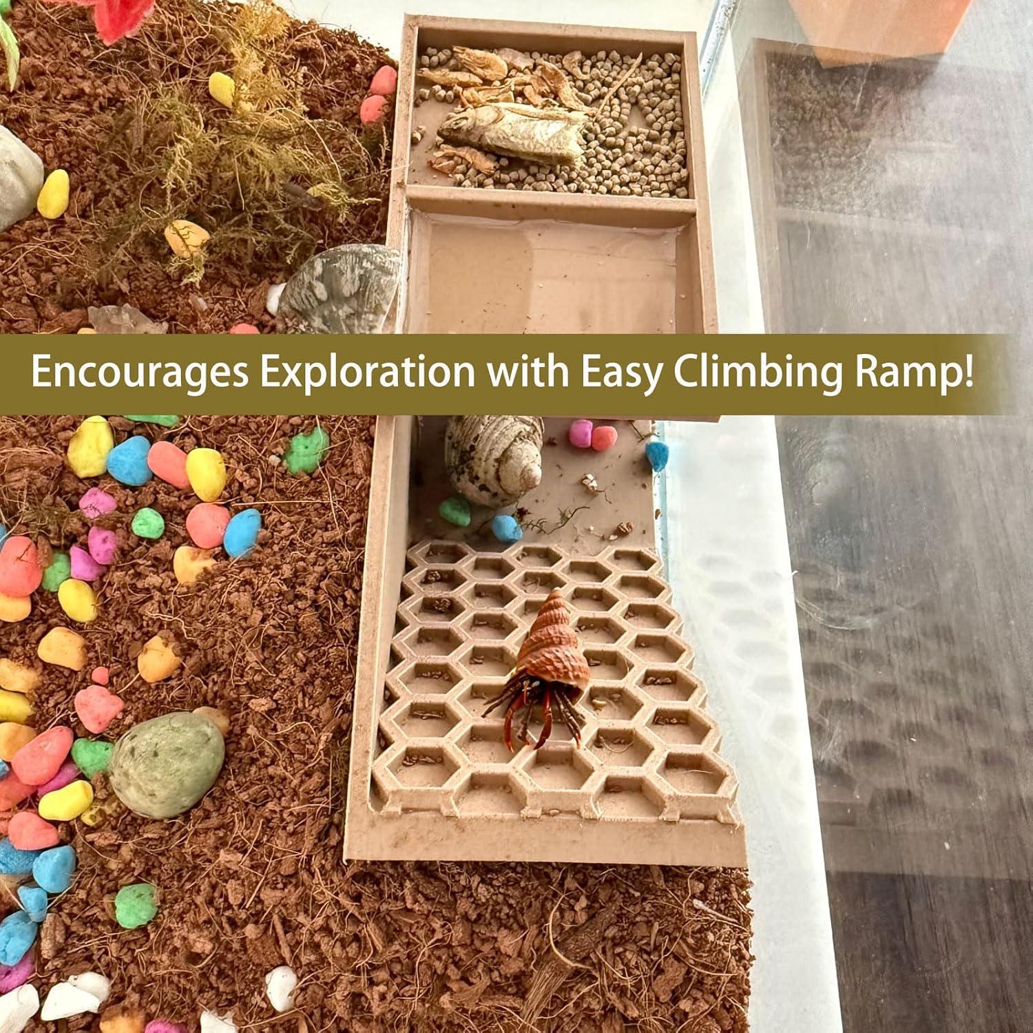 Escondite 3D para Cangrejos Ermitaños HOZOE - Madera