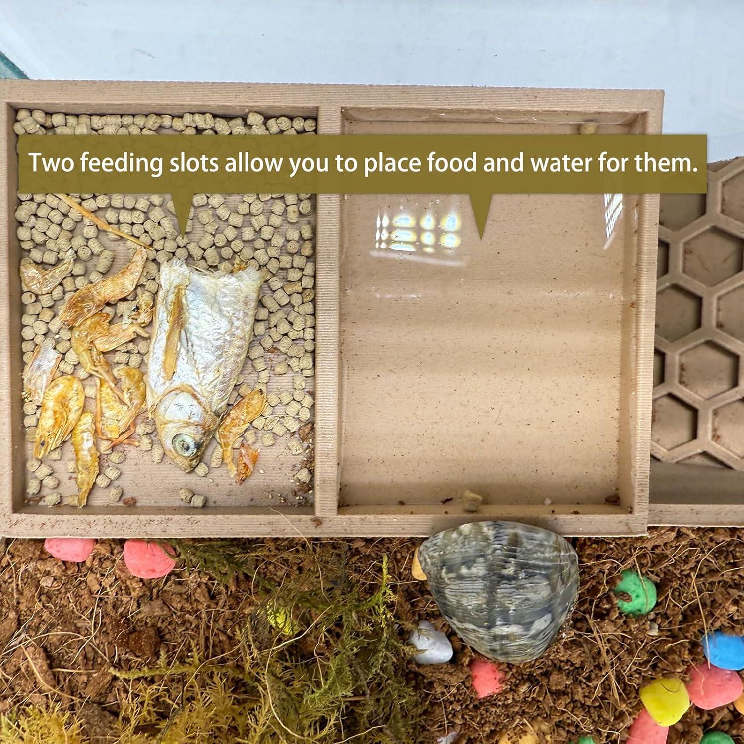 Escondite 3D para Cangrejos Ermitaños HOZOE - Madera