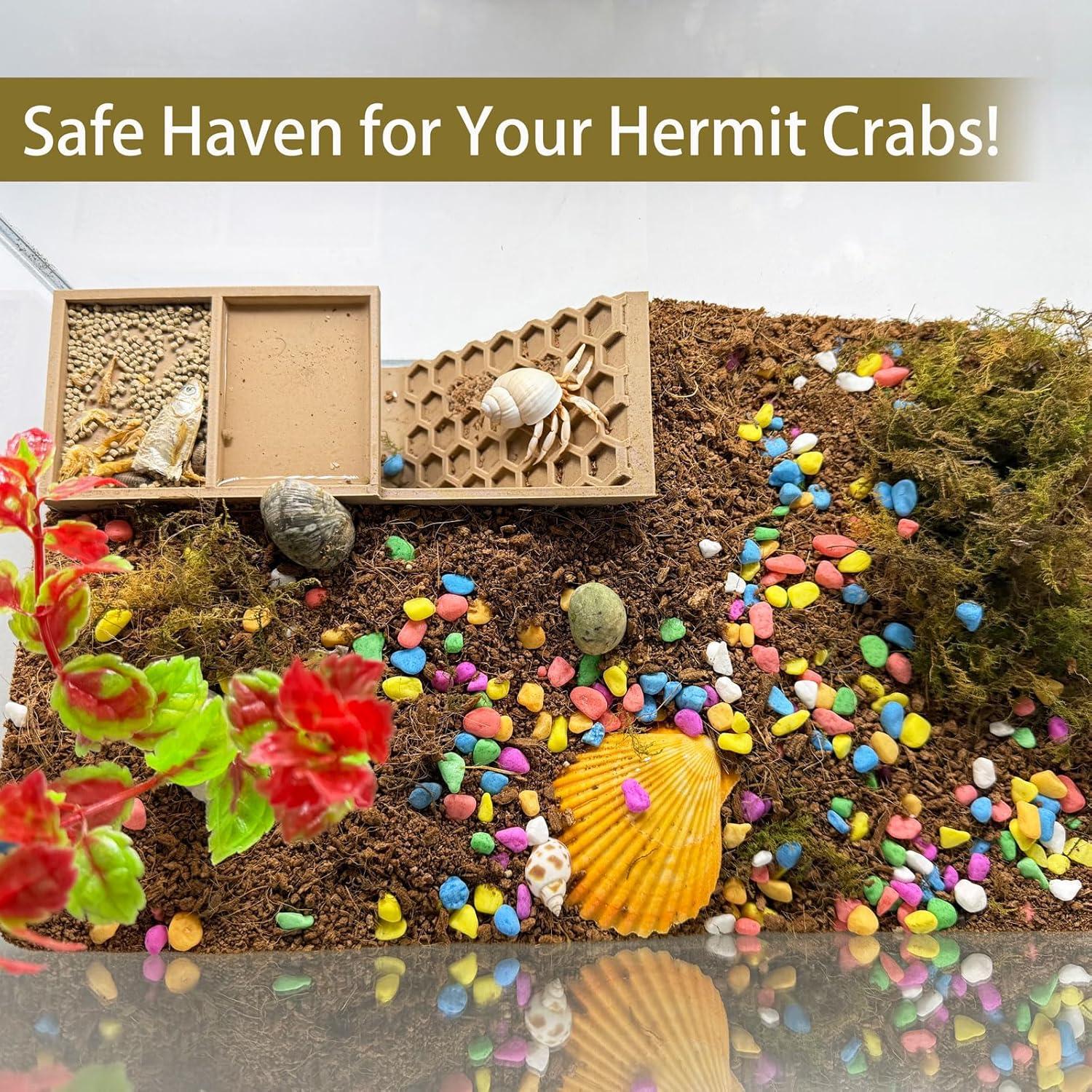 Escondite 3D para Cangrejos Ermitaños HOZOE - Madera