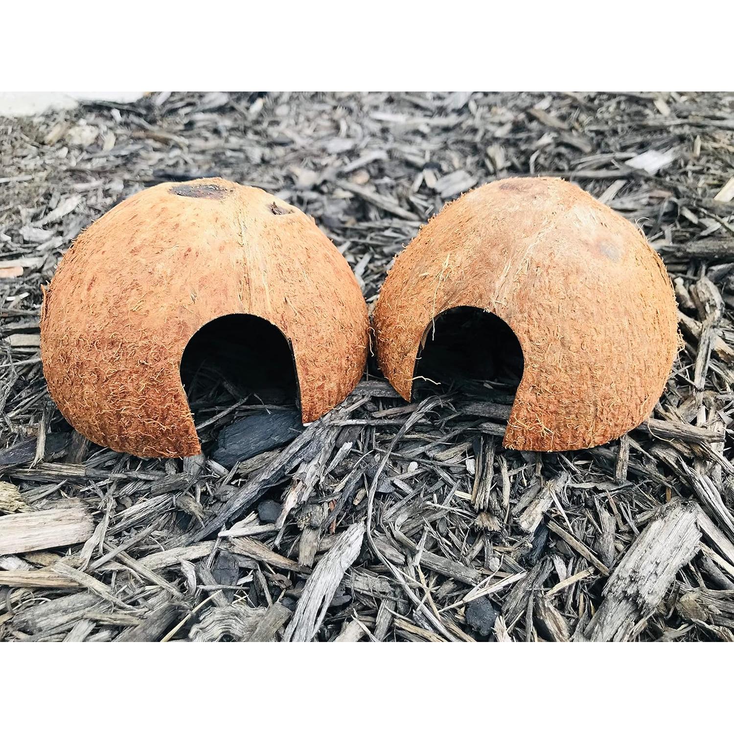 Cueva de Coco Hexagrowth para Peces y Reptiles - 2 Paquetes