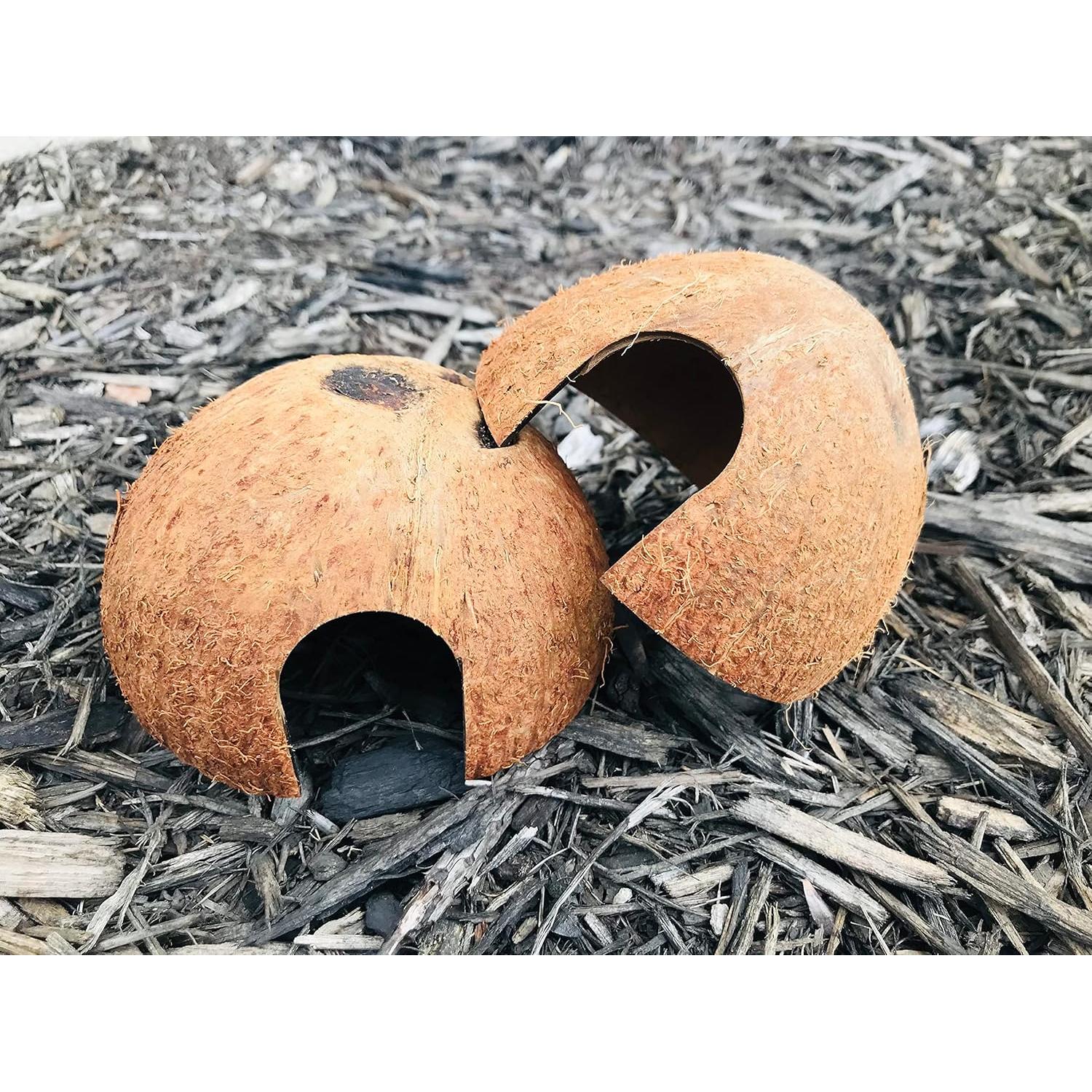 Cueva de Coco Hexagrowth para Peces y Reptiles - 2 Paquetes