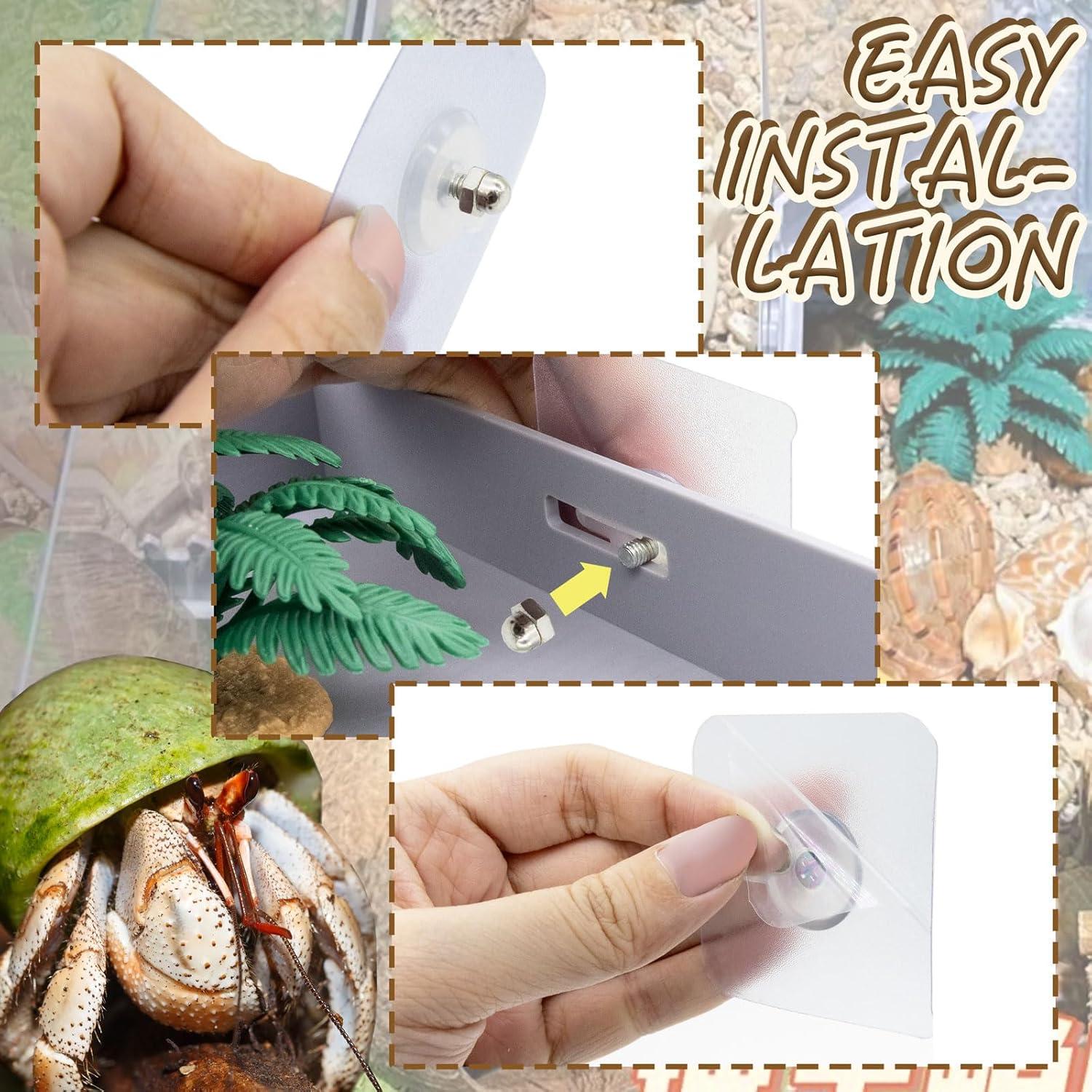 Plataforma en L para Cangrejos Ermitaños Niuohoy con Escalera