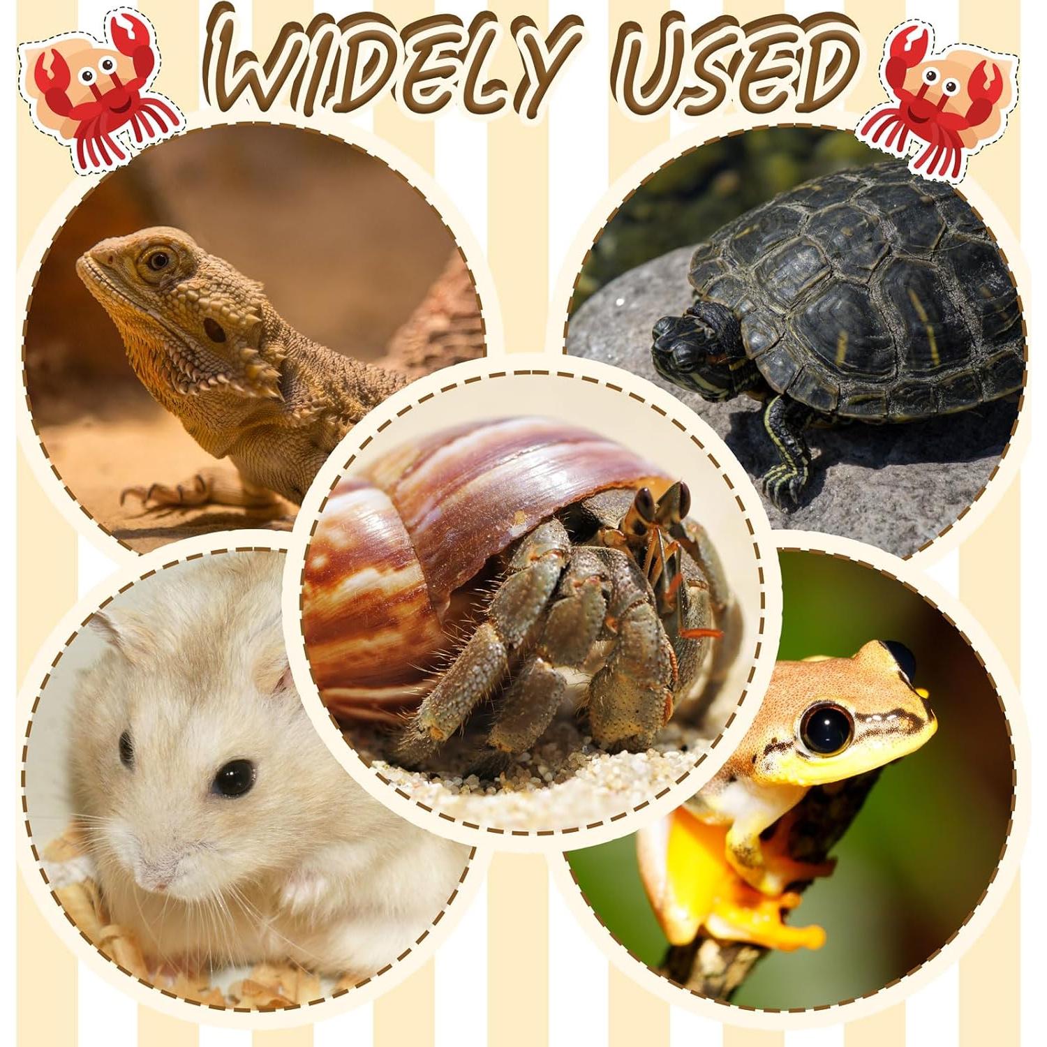 Plataforma en L para Cangrejos Ermitaños Niuohoy con Escalera