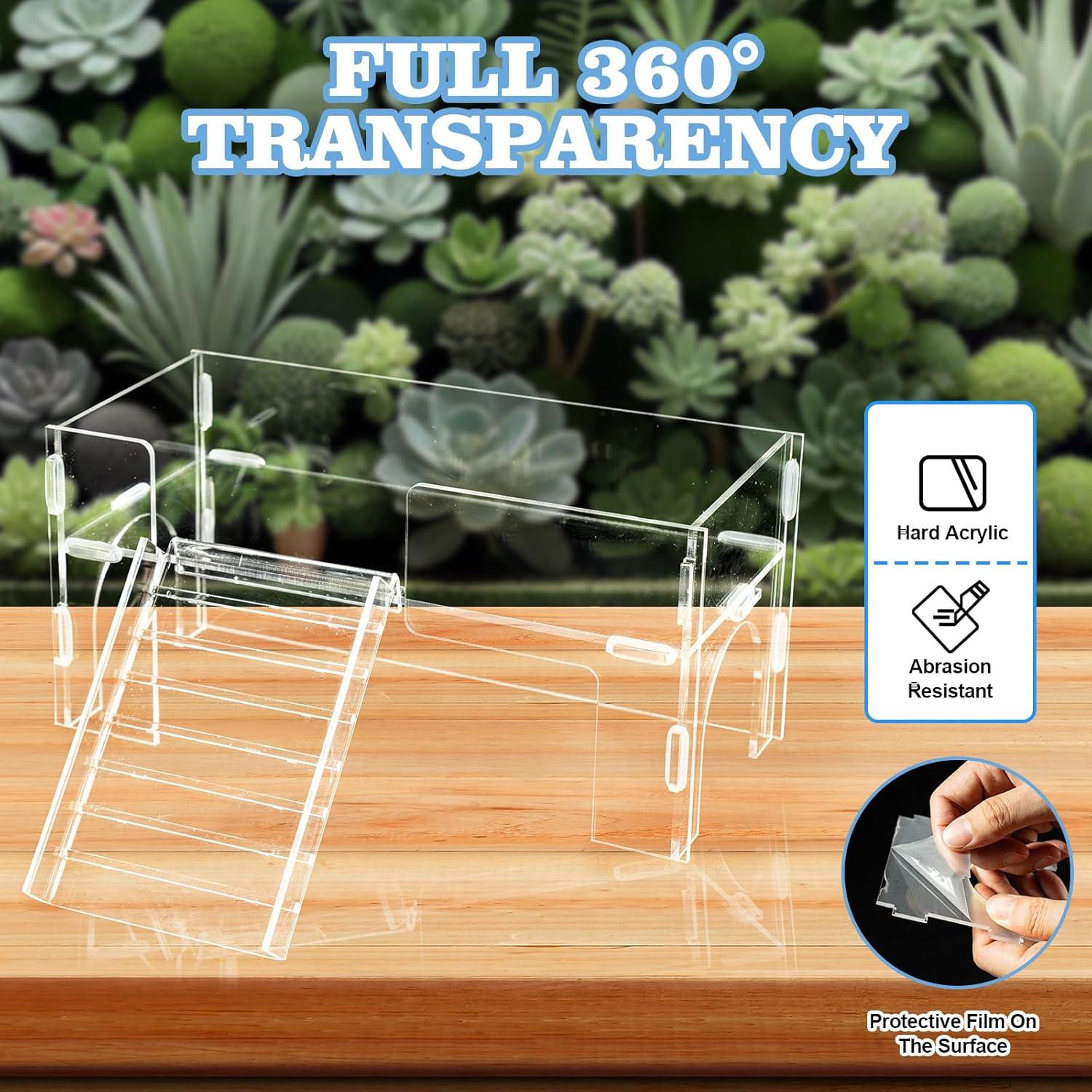 Plataforma de Escalada Swirge para Reptiles 22.5x20x11 cm