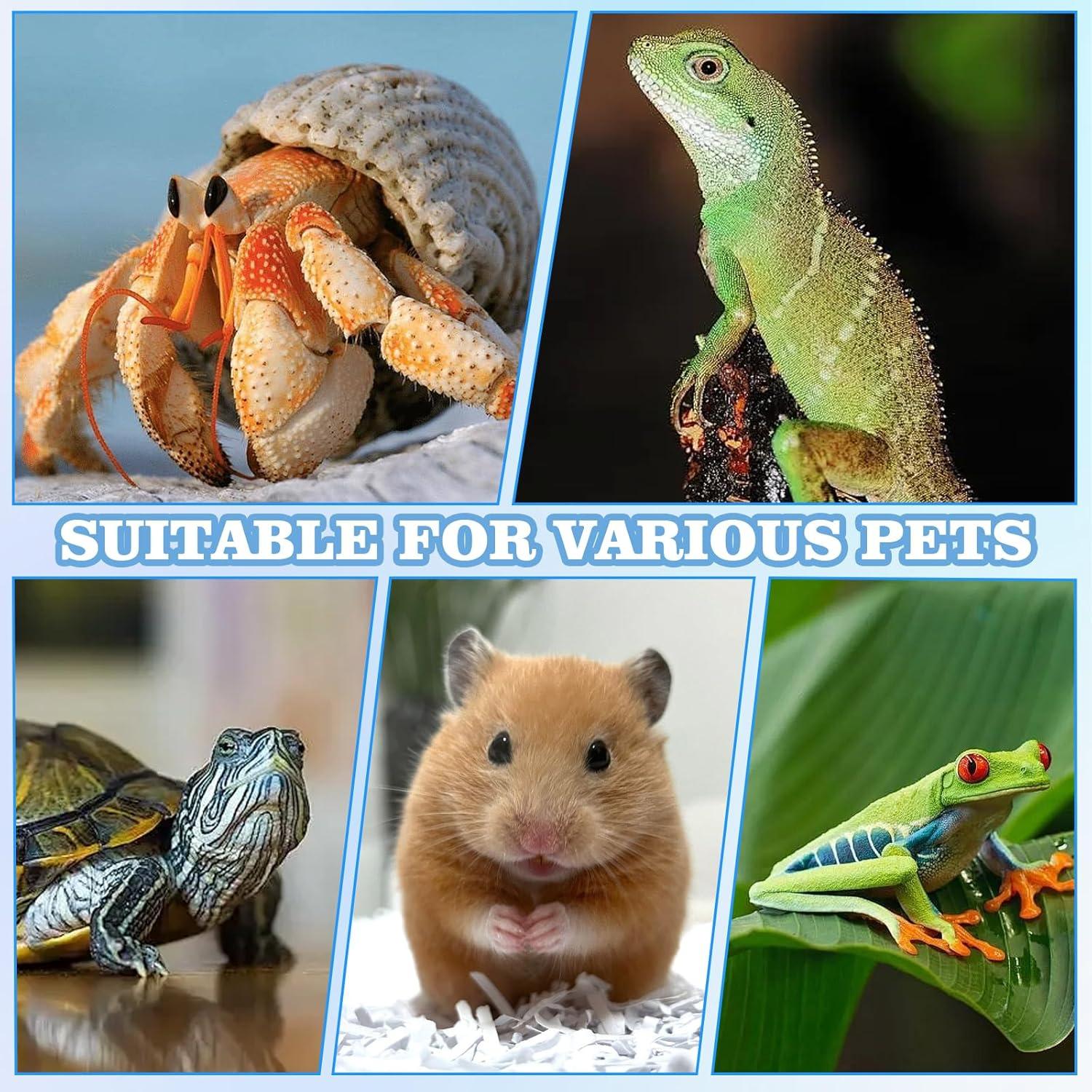 Plataforma de Escalada Swirge para Reptiles 22.5x20x11 cm