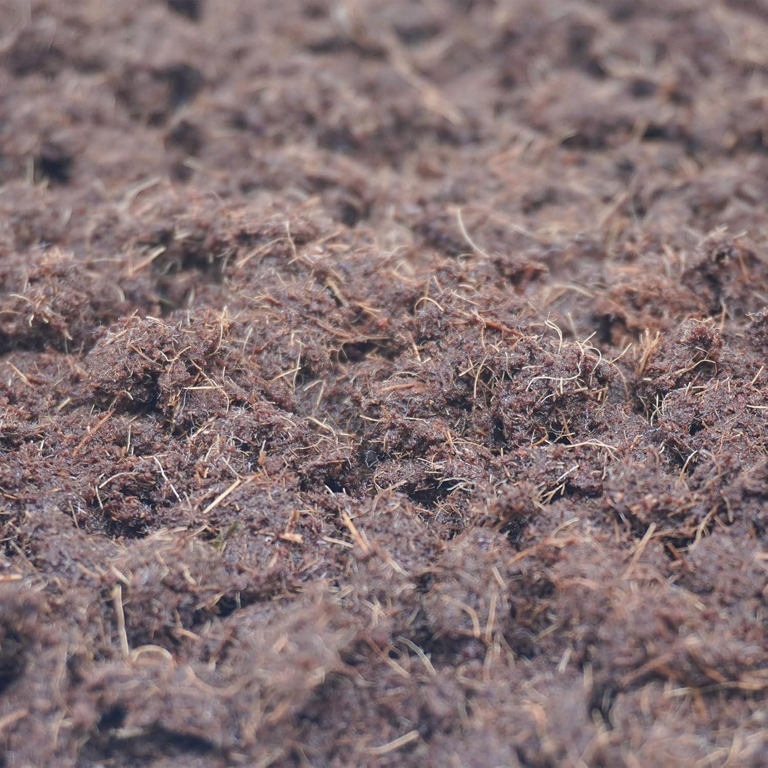 Ladrillo de Coco Coir Begeterday 425g para Cangrejos Ermitaños