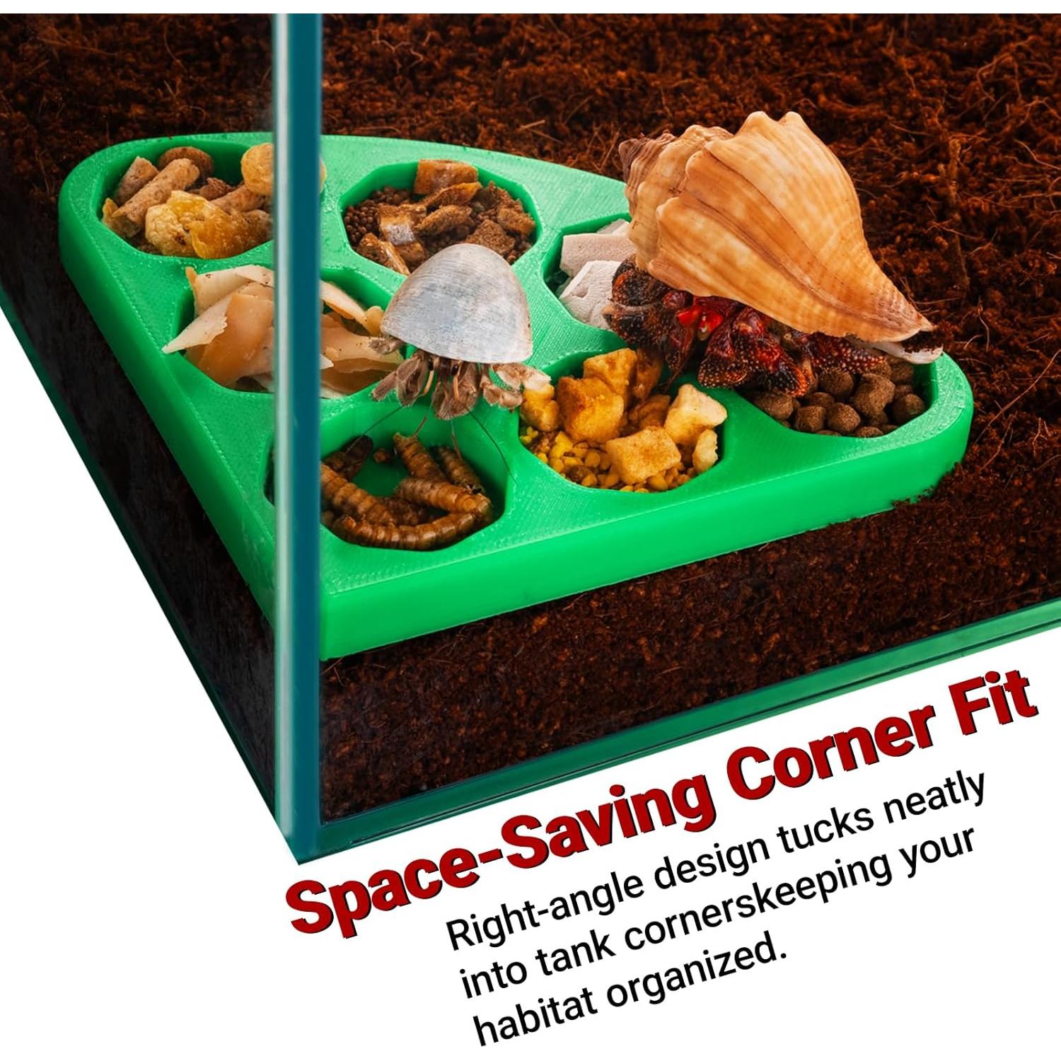 Juego de 2 Tazones de Comida para Cangrejos Ermitaños HERPDEN