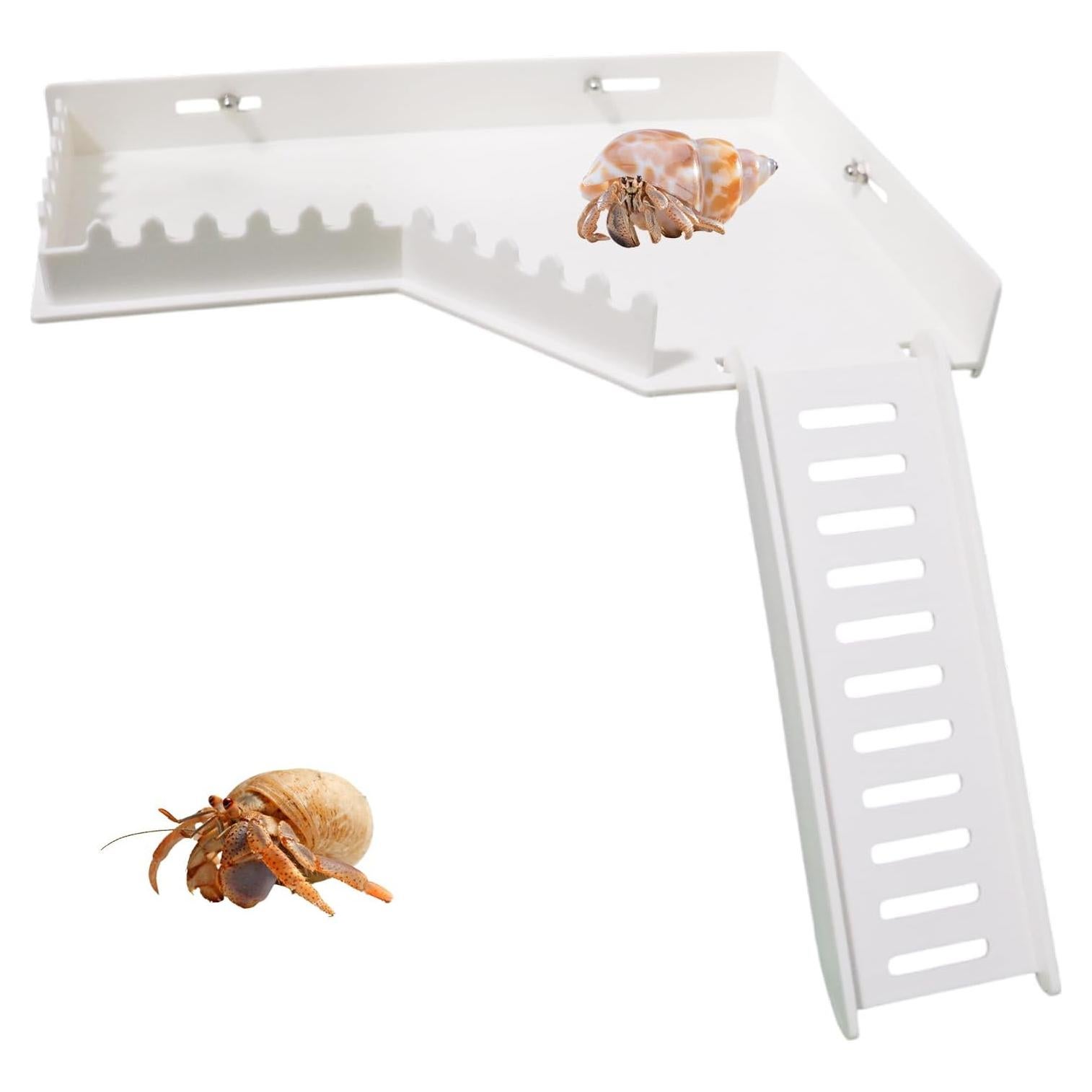 Plataforma de Escalada BingegePet para Cangrejos y Hámsters