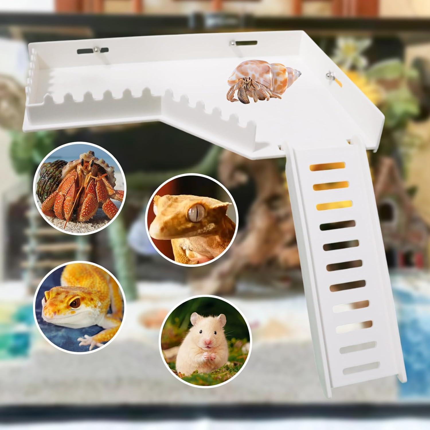 Plataforma de Escalada BingegePet para Cangrejos y Hámsters