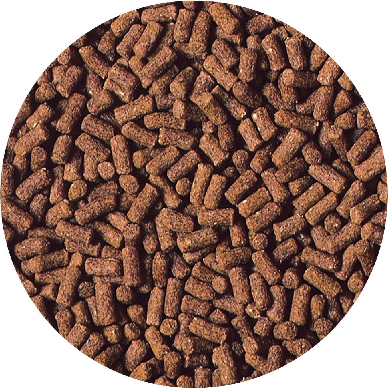 Alimento para Cangrejos Hikari 50g - Nutrición Premium