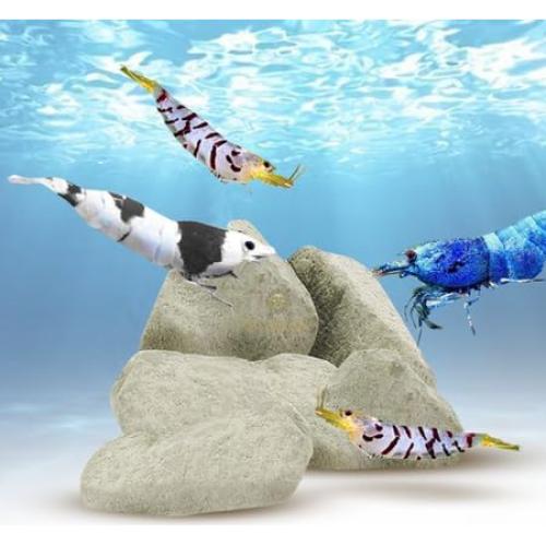 Rocas de Calcio y Magnesio para Camarones y Cangrejos - Genérico