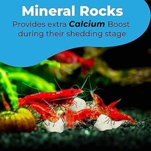 Rocas de Calcio y Magnesio para Camarones y Cangrejos - Genérico