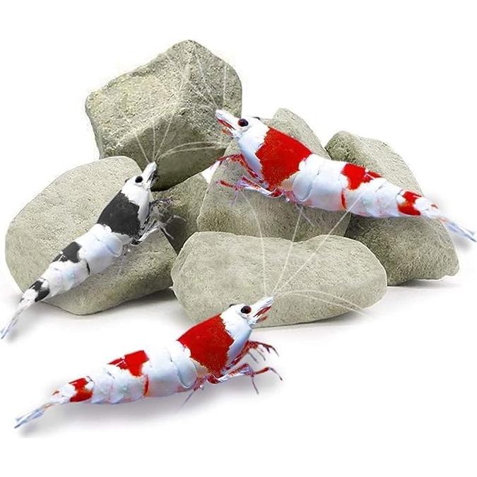 Rocas de Calcio y Magnesio para Camarones y Cangrejos - Genérico