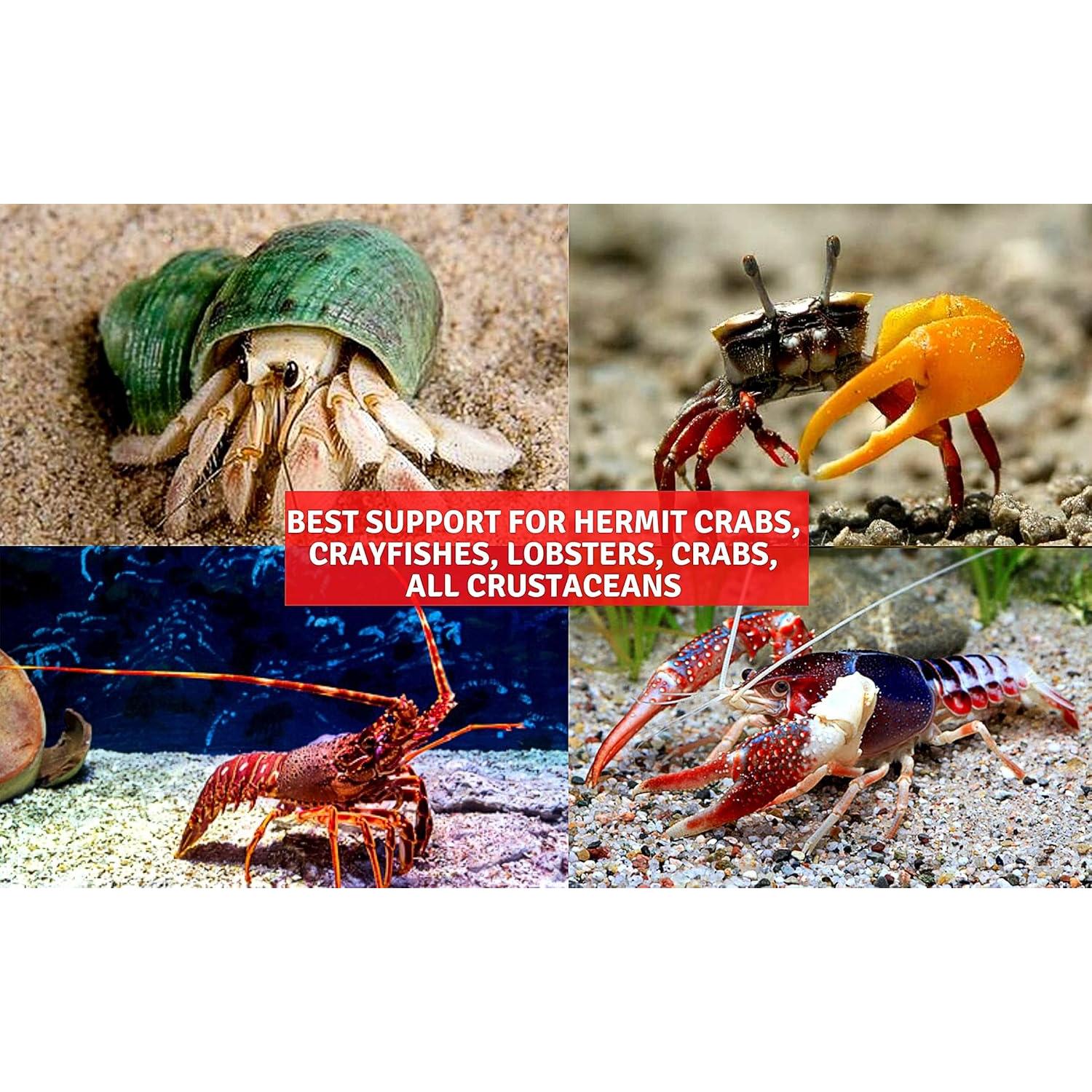 Alimento para Anfibios 165g A.D.P. Alto en Proteína 45%