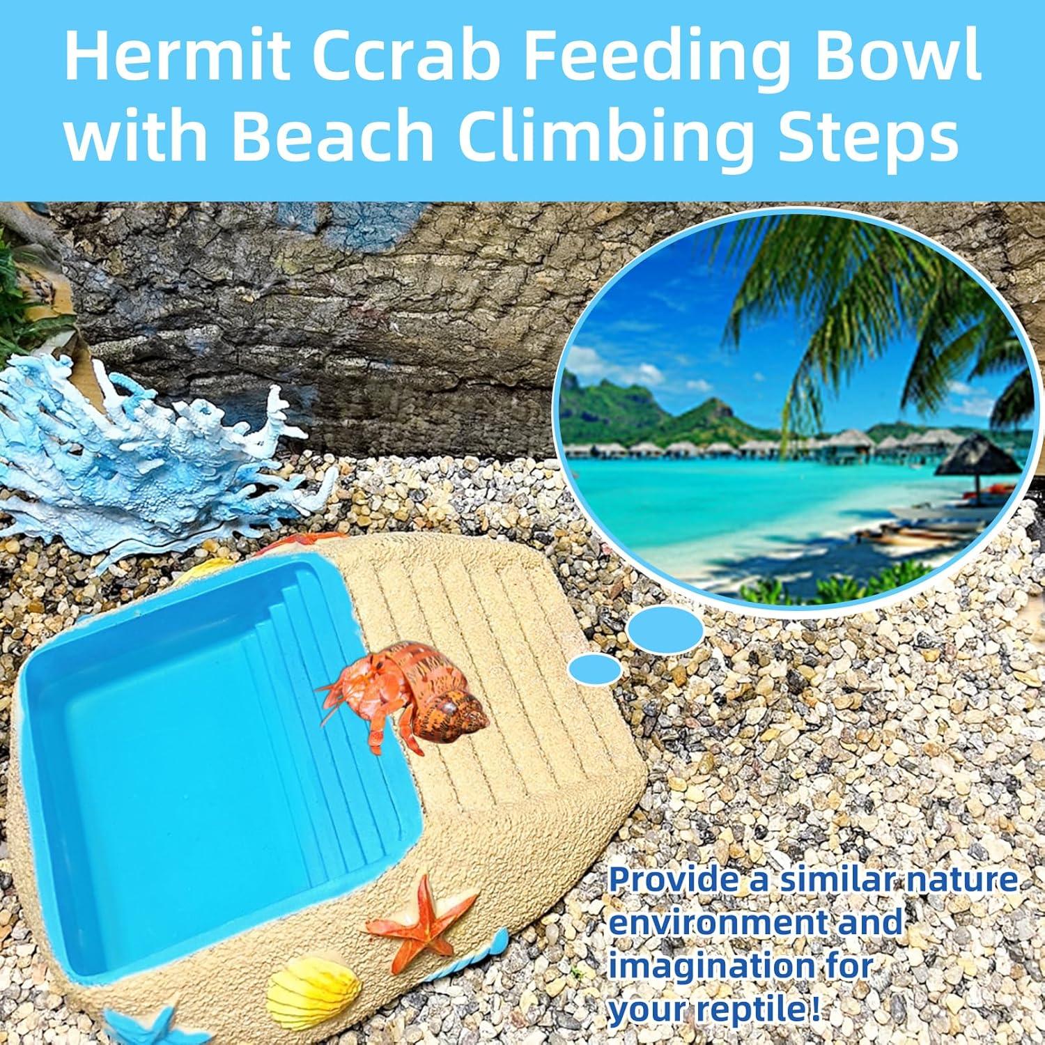 Tazón de Agua para Cangrejo Ermitaño Gxsdj 16x8cm Resina