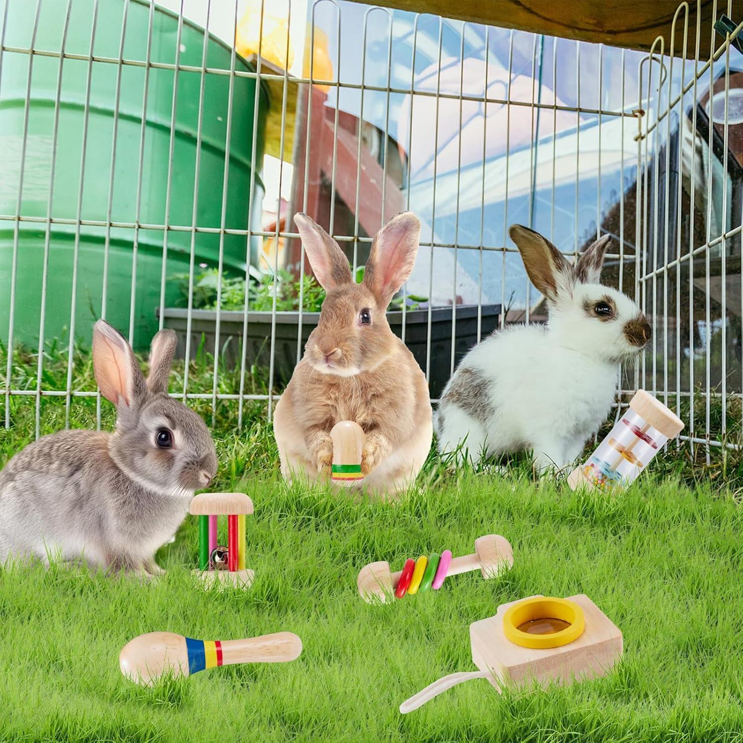 Juguetes de Madera para Conejos AOWPFVV - 6 Piezas Multicolor