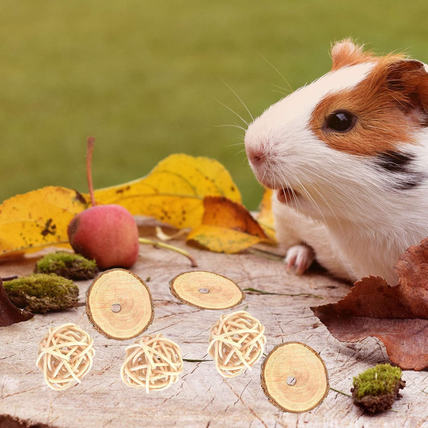 Juguetes Masticables para Conejos S-Mechanic - Madera de Manzana