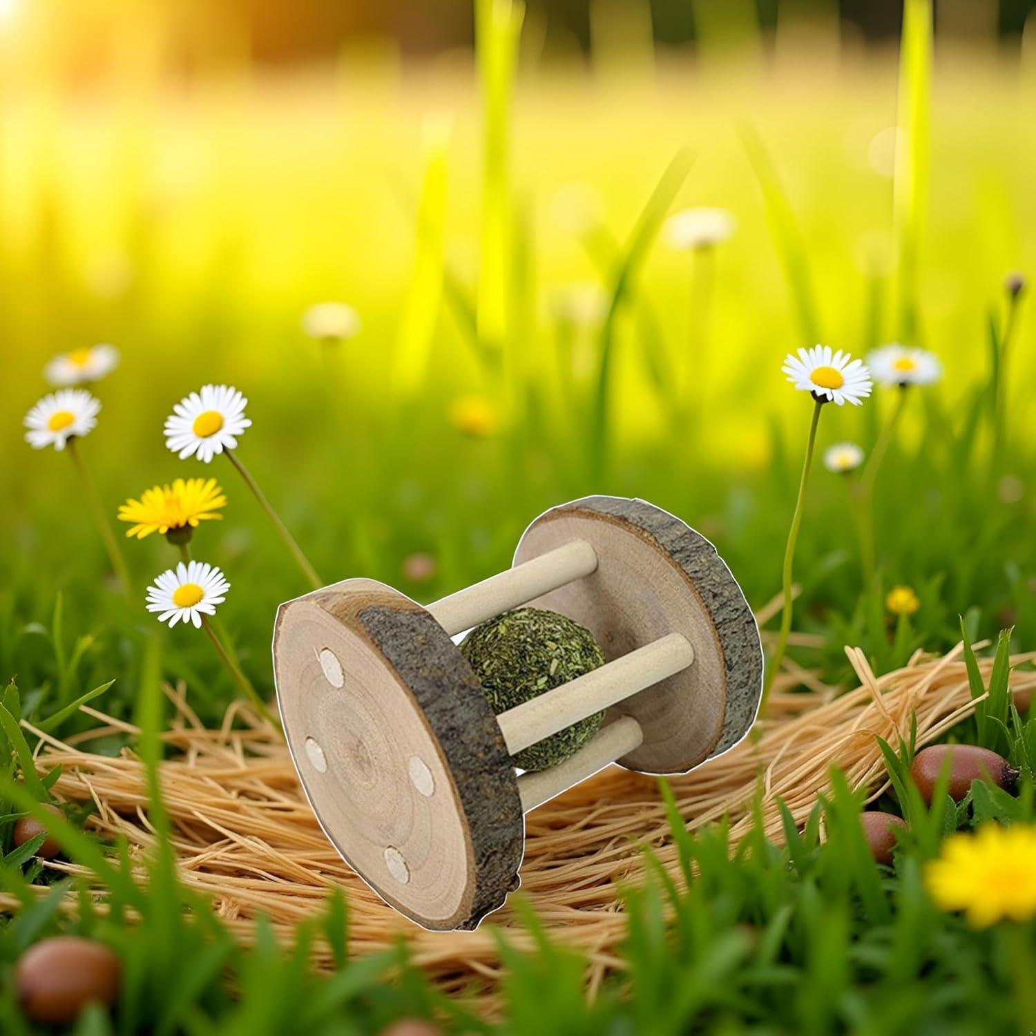 Juguete Masticable de Madera Natural Bwexxt para Hámster y Conejo