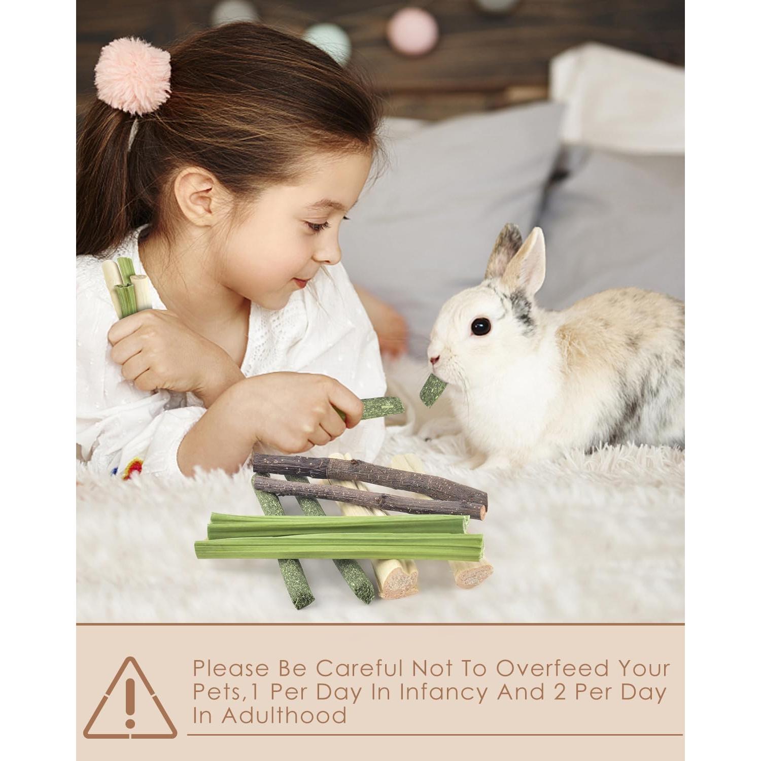 Palitos Masticables Naturales Bissap para Conejos y Roedores 60 PCS