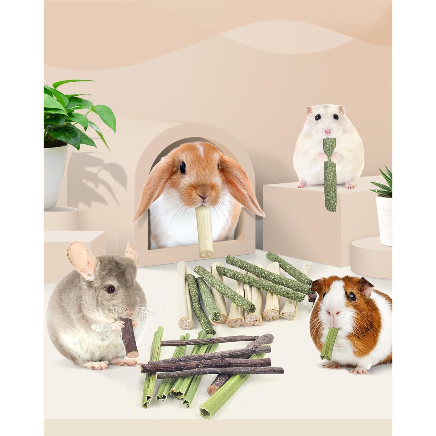 Palitos Masticables Naturales Bissap para Conejos y Roedores 60 PCS