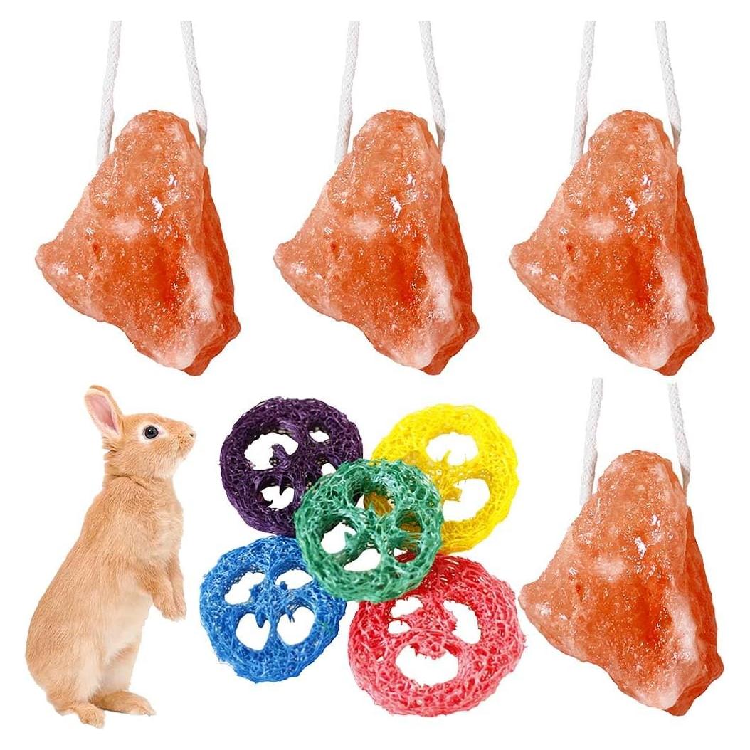 Bloque de Sal Himalaya y Juguetes de Lufa para Conejos - 4 Pcs