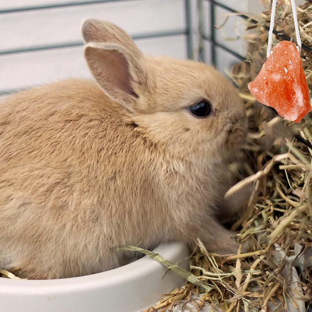 Bloque de Sal Himalaya y Juguetes de Lufa para Conejos - 4 Pcs