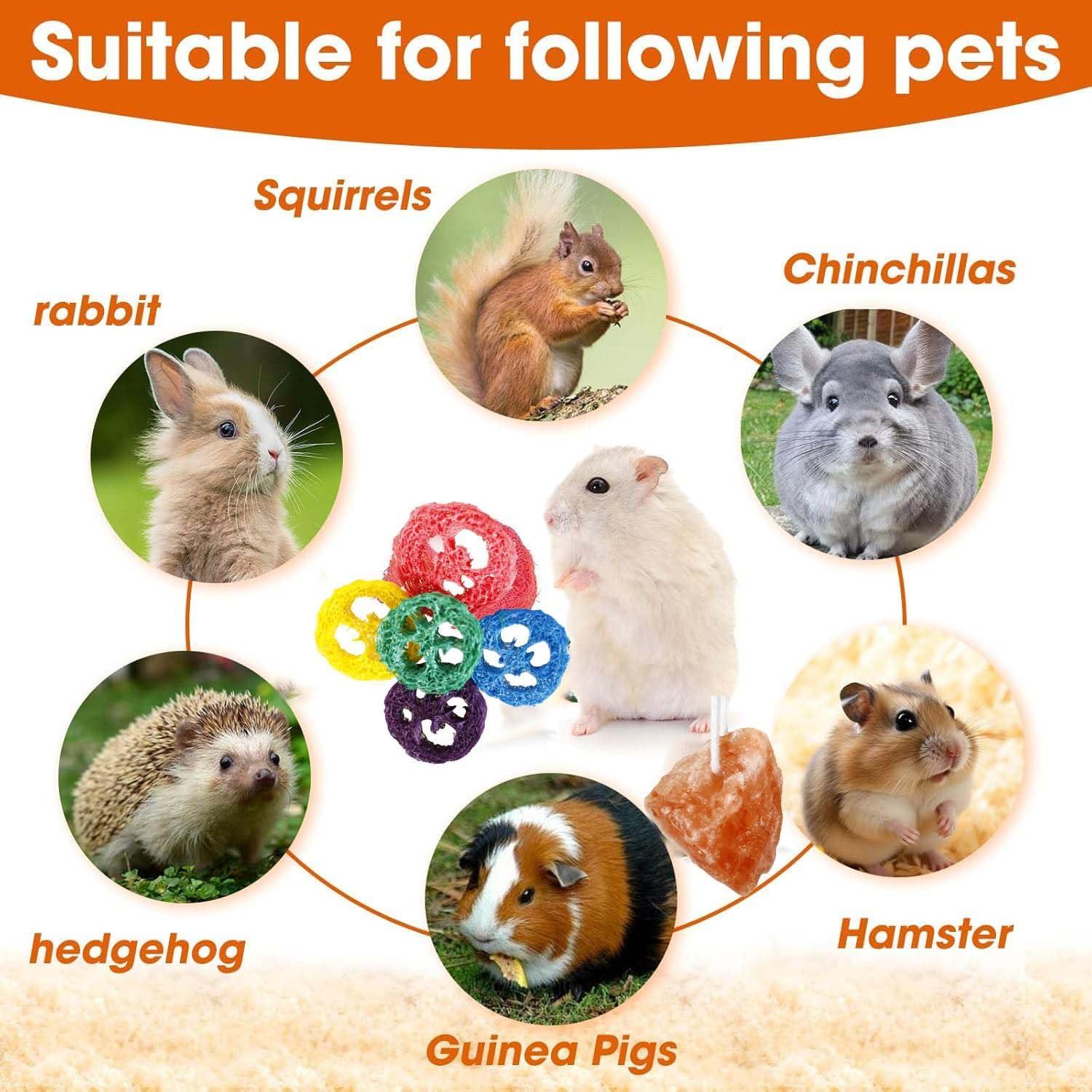 Bloque de Sal Himalaya y Juguetes de Lufa para Conejos - 4 Pcs