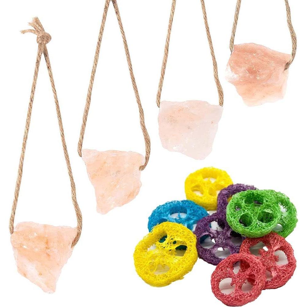 Bloque de Sal Himalaya y Juguetes de Lufa para Conejos - 4 Pcs