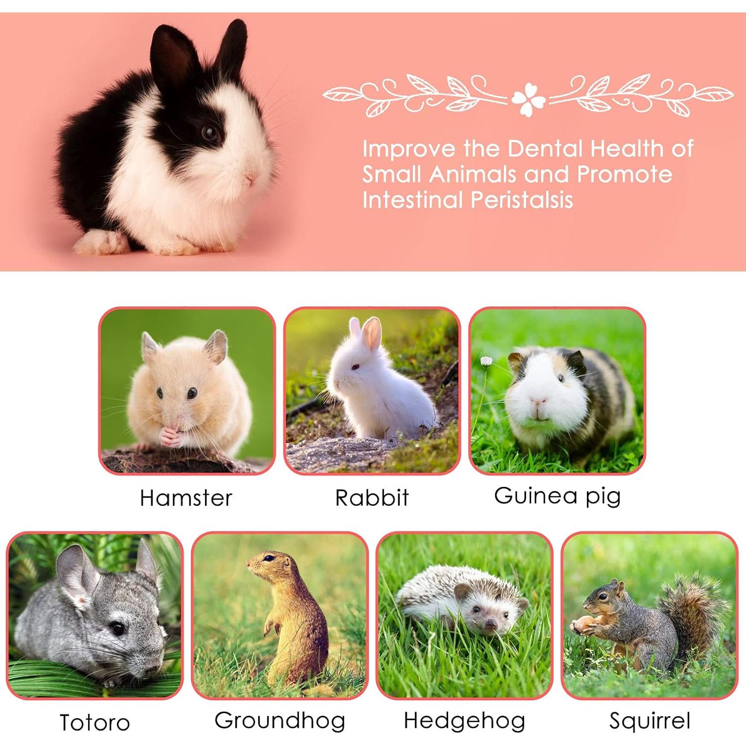 Palitos de Manzana Natural ERKOON 500g para Hámster y Conejos