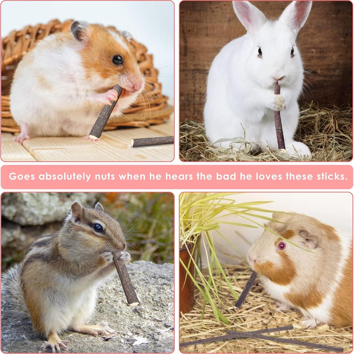 Palitos de Manzana Natural ERKOON 500g para Hámster y Conejos